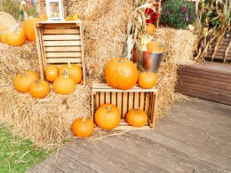 Incredible Pumpkin Patch Decorating Ideas