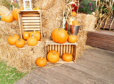 Incredible Pumpkin Patch Decorating Ideas
