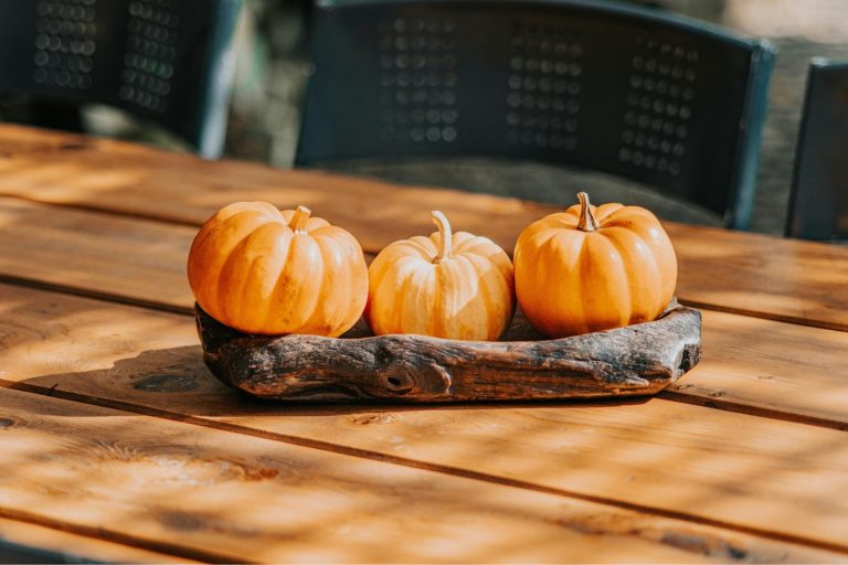 Must-Try Mini Pumpkin Decorating Ideas