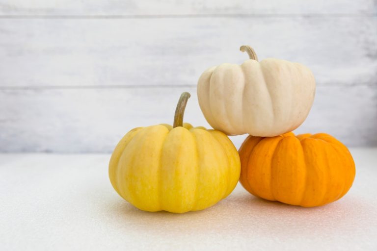 Unique Foam Pumpkin Decorating Ideas You Should Try