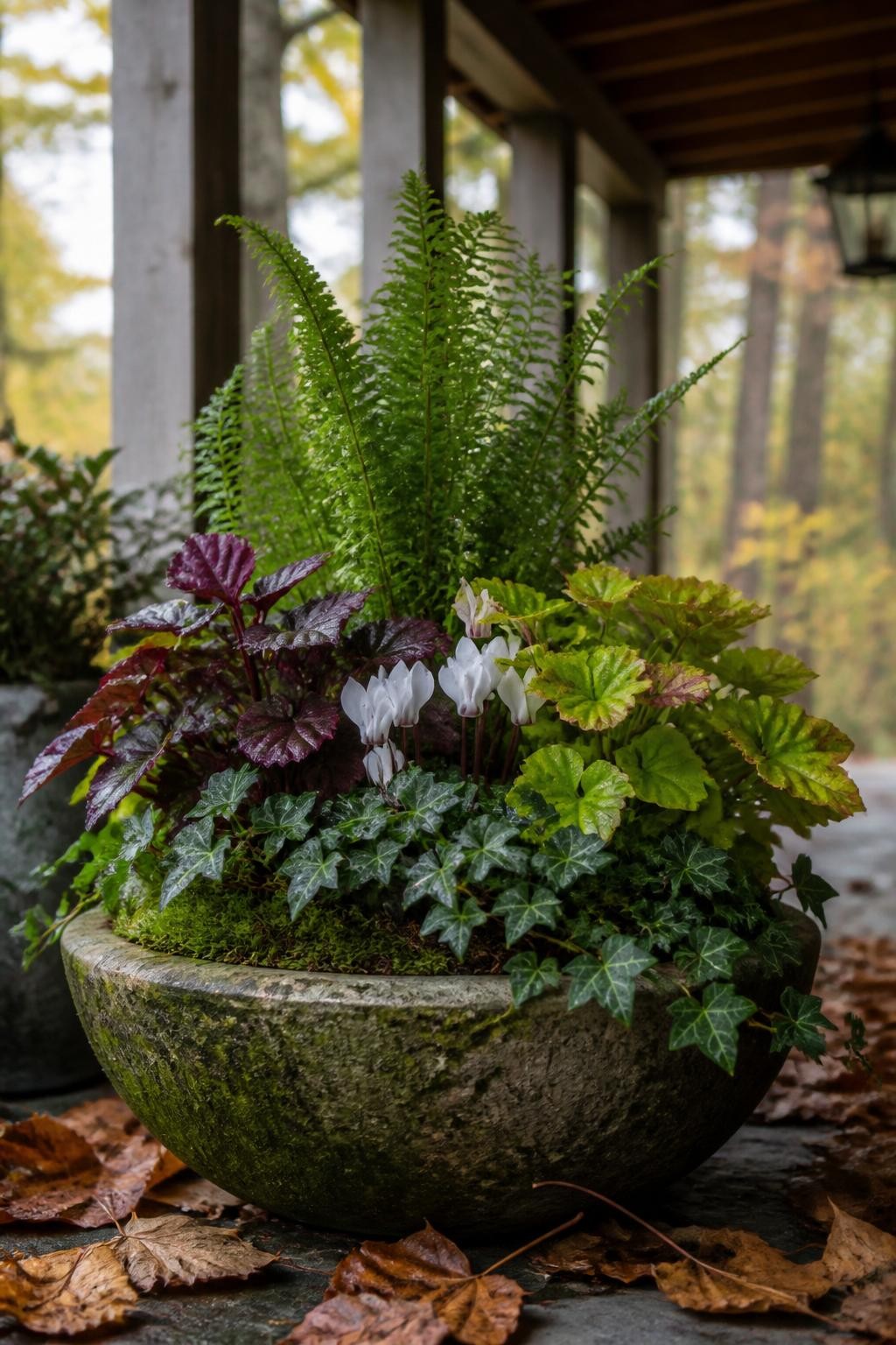 Image Prompt: A realistic shaded fall container garden beneath a covered porch, featuring a small upright fern, burgundy and lime-green heuchera, white cyclamen, dark green ivy, and soft moss covering a few visible soil areas, planted in a weathered stone bowl, fallen brown leaves around the base, gentle filtered daylight, natural woodland mood, subtle moisture on the foliage, refined but achievable home garden styling, highly realistic textures, DSLR photography, 70mm lens, shallow depth of field, no text.